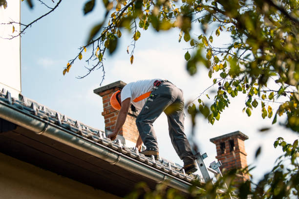 Best Metal Roofing Installation  in Oxon Hill, MD